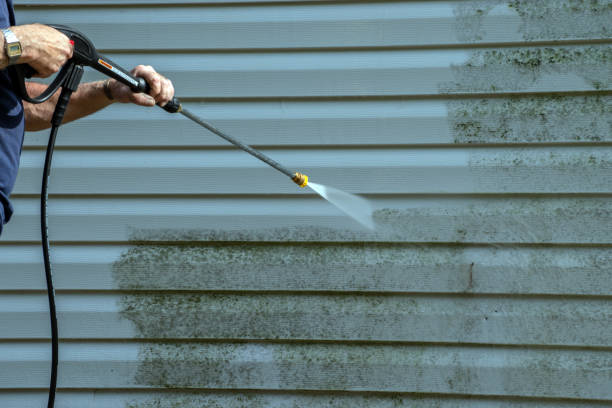 Best Graffiti Removal  in Silver Firs, WA