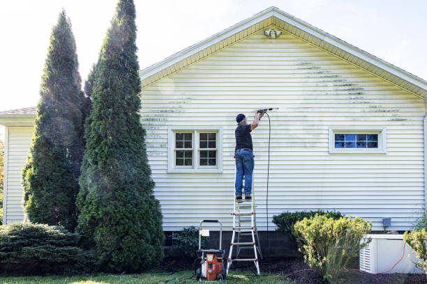 Best Soft Washing  in Silver Firs, WA